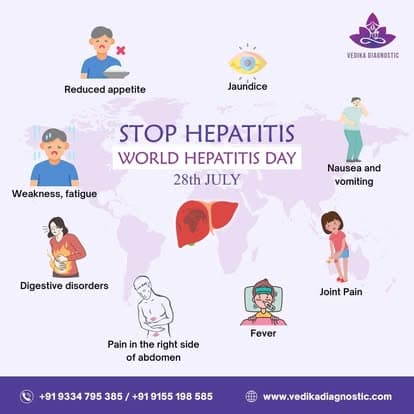 Vedika Diagnostic Gallery 2